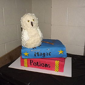 Owl & Books
